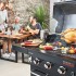 ГАЗОВЫЙ ГРИЛЬ CHAR-BROIL PROFESSIONAL CORE 3B
